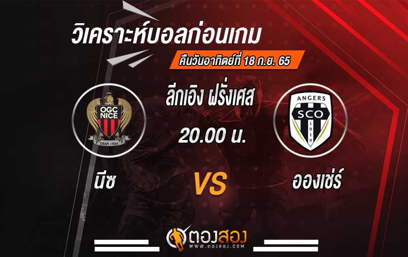 ปกวิเคาระห์-ตองสอง