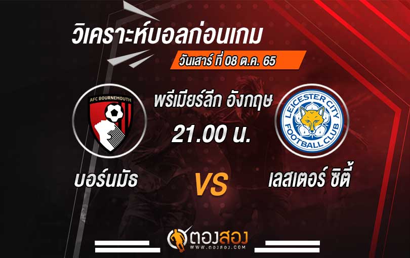 ปกวิเคาระห์-ตองสอง