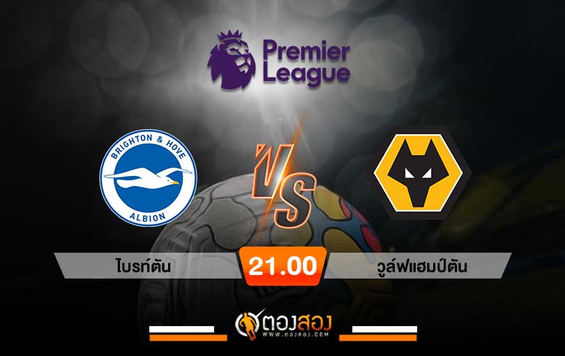 วิเคราะห์บอล พรีเมียร์ลีก อังกฤษ ไบรท์ตัน VS วูล์ฟแฮมป์ตัน
